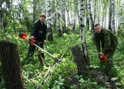 Поздравления ко дню работников леса в стихах и в прозе День работников леса в России
